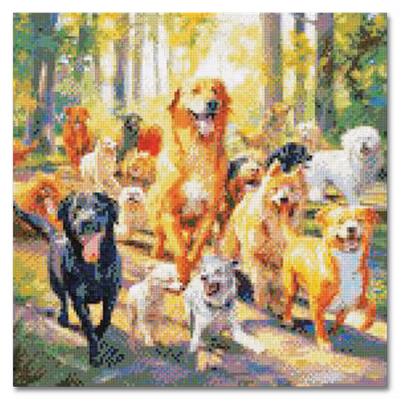 Diamond Dogs Dog Park photo 1